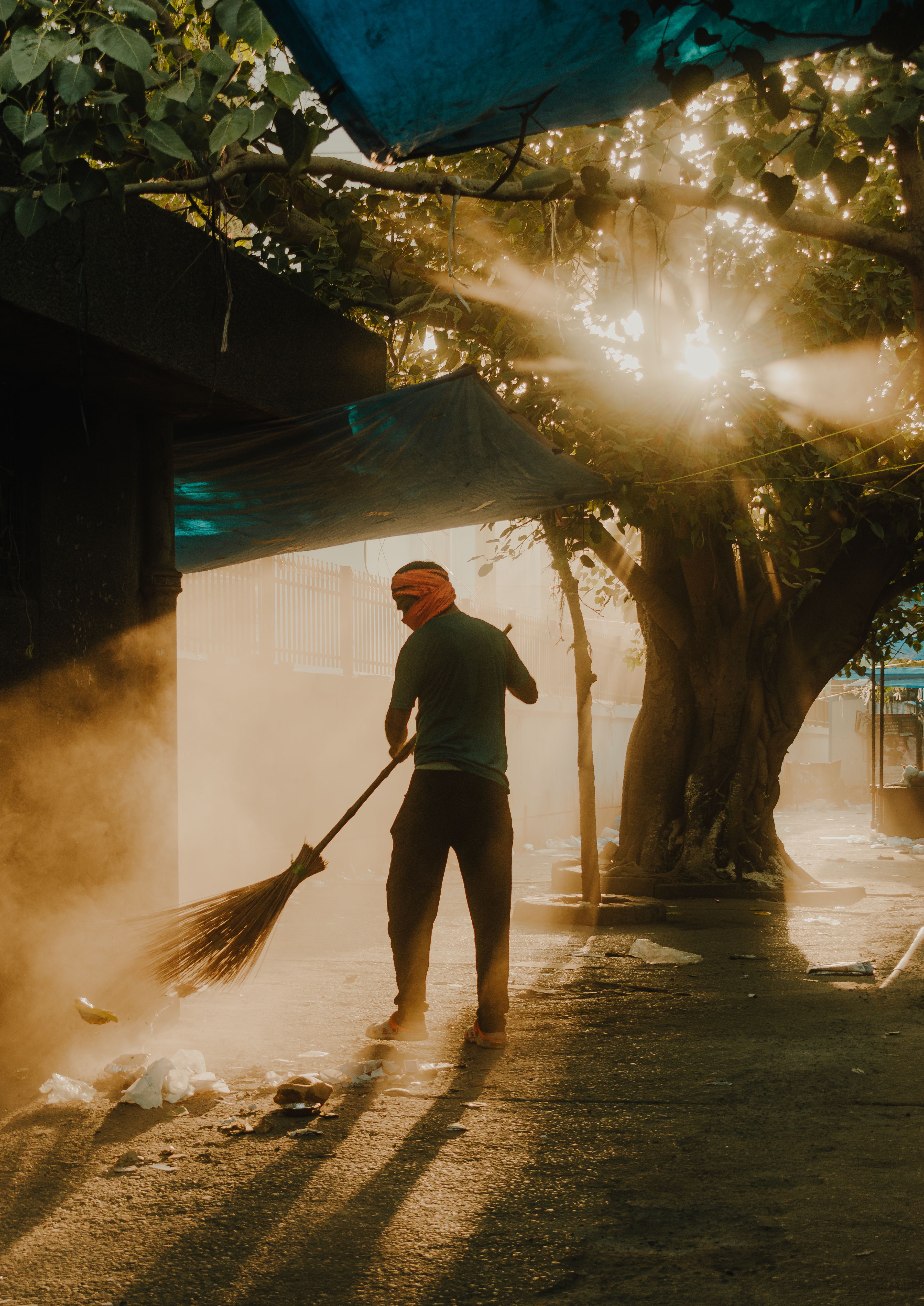 Park Cleanup