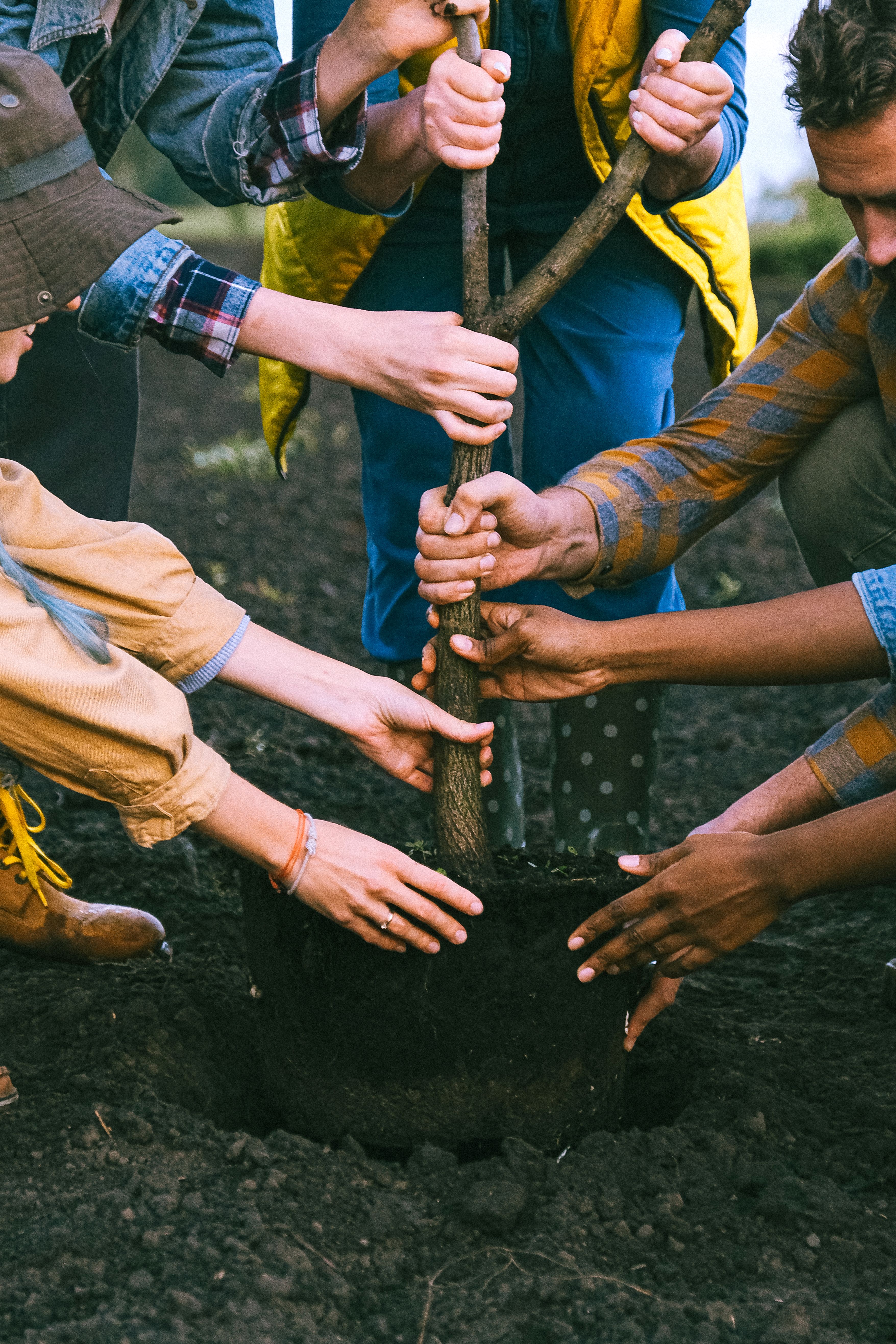 Community Tree Planting